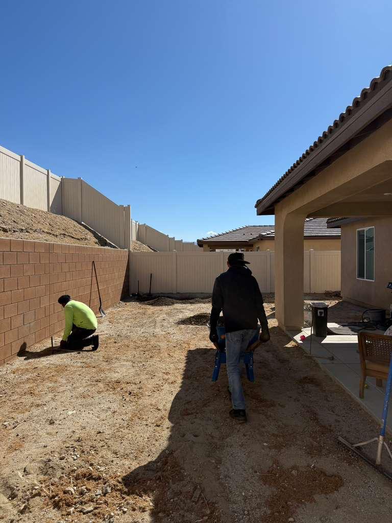 Empty dirt backyard before